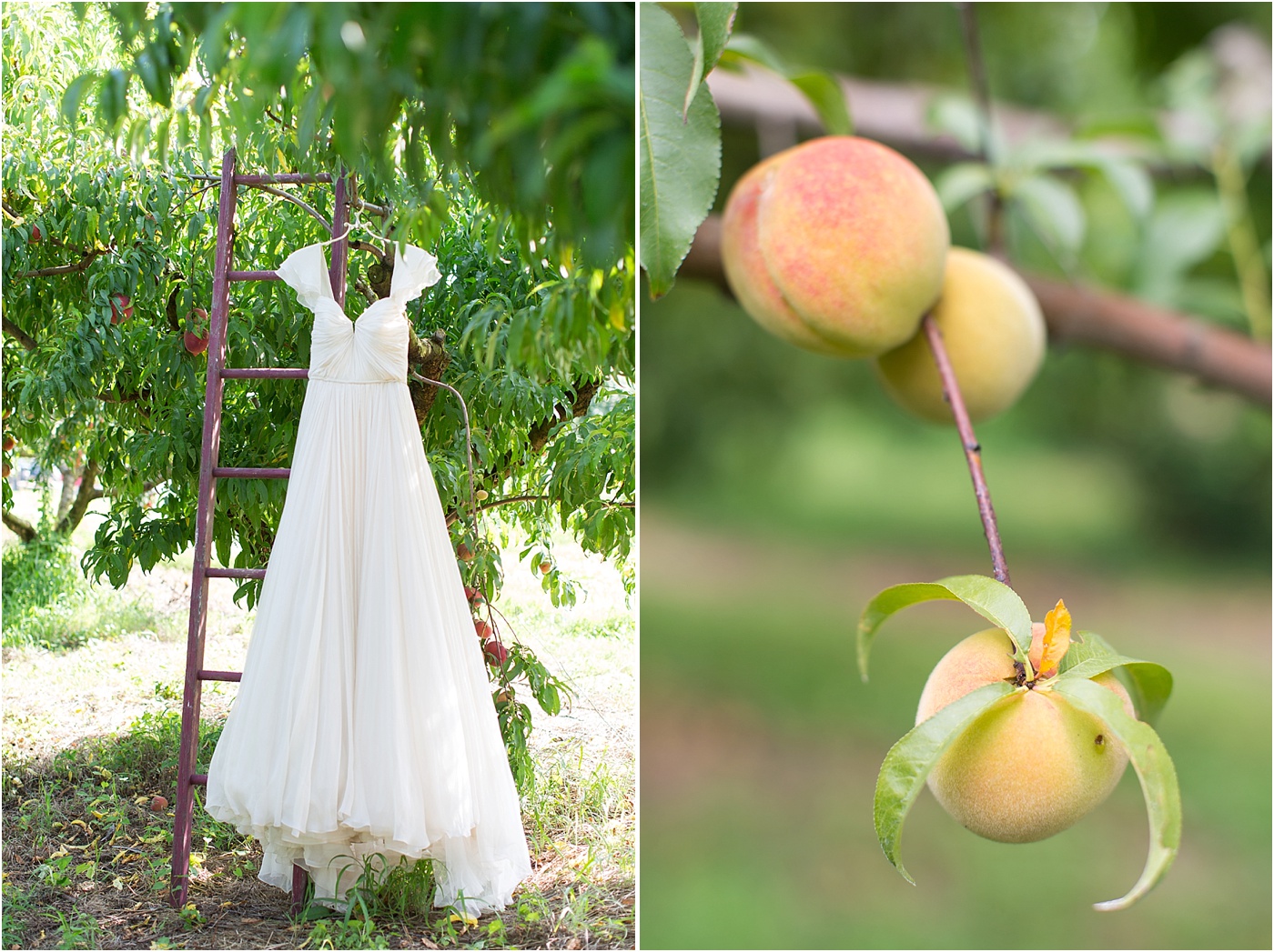 Rustic Peach Orchard Wedding Inspiration