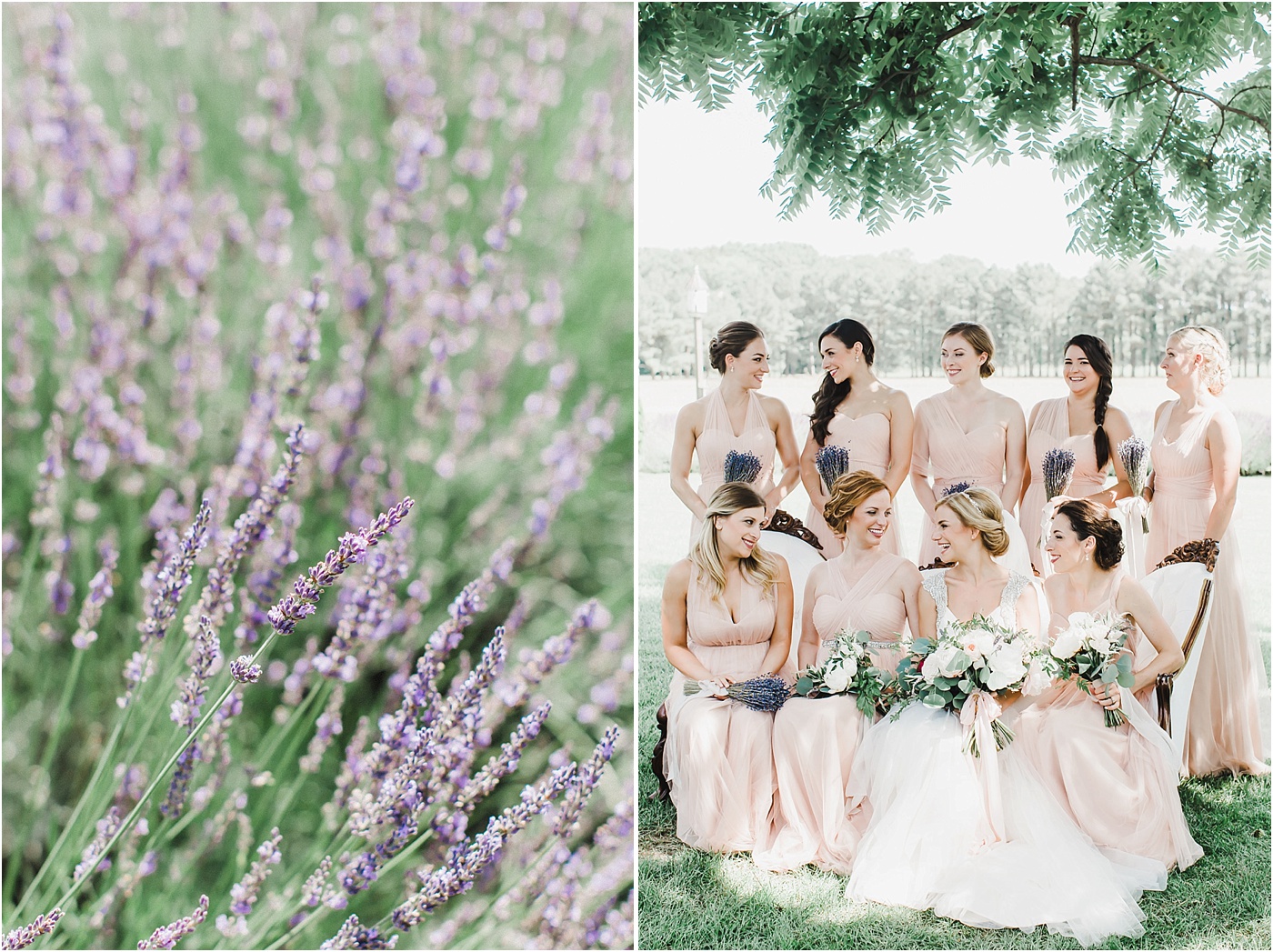 Lavender Wedding Bouquets + Blush Jenny Yoo Bridesmaid Dresses 